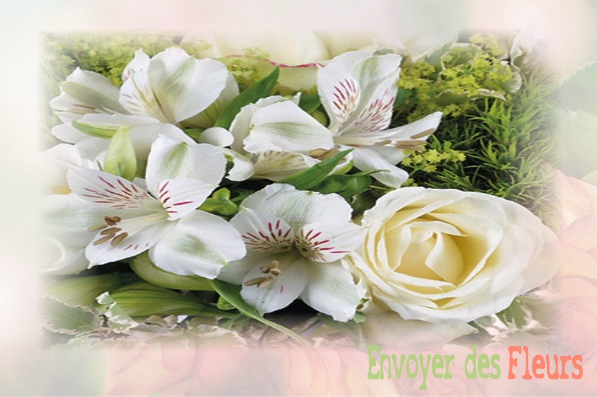 envoyer des fleurs à à SAINT-ROMAIN-EN-VIENNOIS